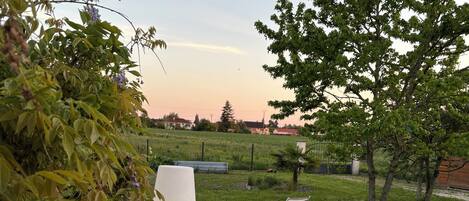 A garden area with a white lamp post, a lawn, and a few trees.