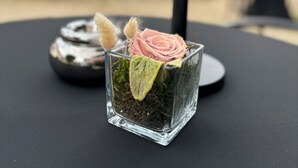 Un florero de vidrio cuadrado con una rosa rosa y musgo sobre una mesa negra.