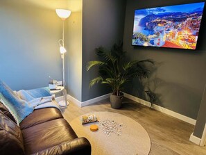 Smart TV, fireplace, books