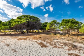 Apartment | 2 bedrooms - Casa Pompia 1 in Siniscola (Siniscola)