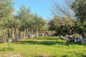 シャワー、タオル、石鹸、シャンプー