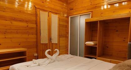 Coco and Canal HomeStory - Canal 1