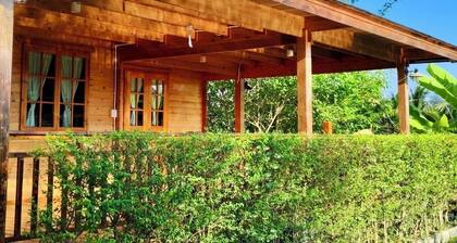 Coco and Canal HomeStory - Canal 1