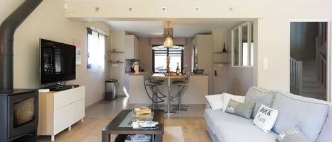 TV, fireplace, books