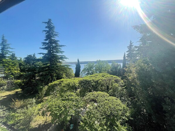 A view of a lush garden with various trees and shrubs, a bench, and a distant bridge.