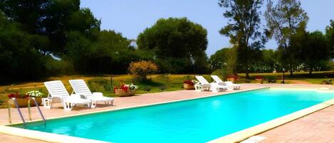 A rectangular swimming pool with a tiled deck, surrounded by white lounge chairs and potted plants.