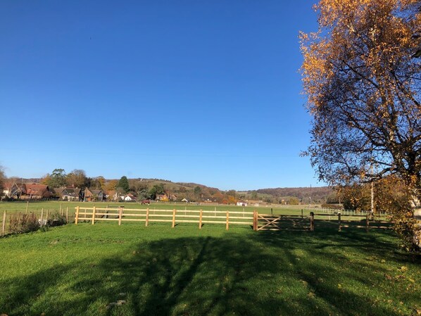 Un paisaje rural con una cerca de madera, campos verdes y casas al fondo.
