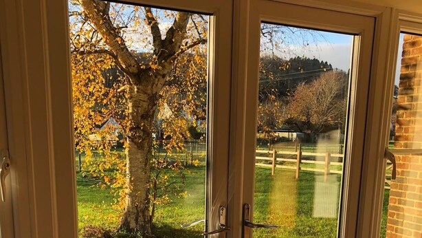 Una puerta corrediza de vidrio con vista a un área verde y árboles.