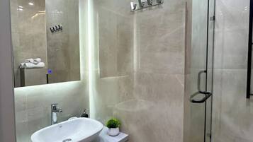 Shower, hair dryer, bidet, towels