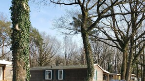 A row of mobile homes with a gravel driveway, surrounded by trees and a clear sky.