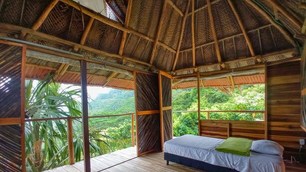 A room with a wooden floor, a bed with a green pillow, a large window with a view of greenery, and a thatched roof.