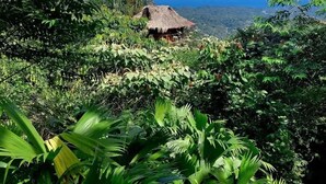 A thatched-roof hut surrounded by dense tropical foliage, overlooking a mountainous landscape and the ocean.