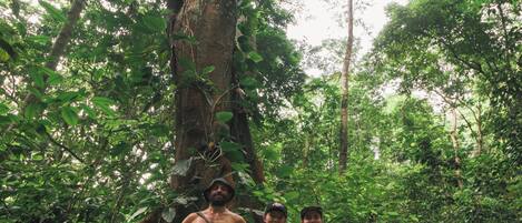 A group of people standing in a forested area with a large tree trunk and dense foliage.