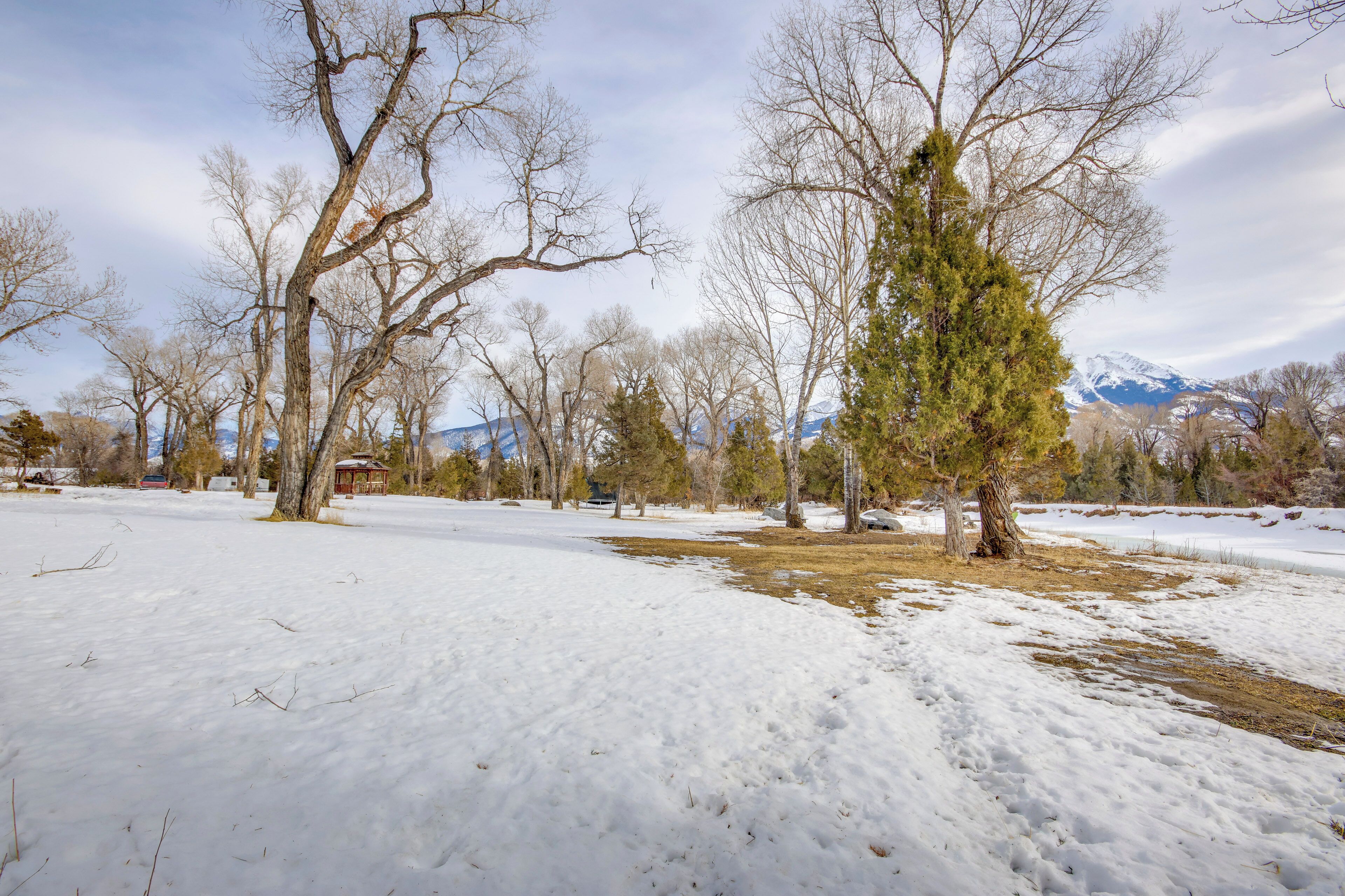 A snowy landscape with trees and a mountain in the background.