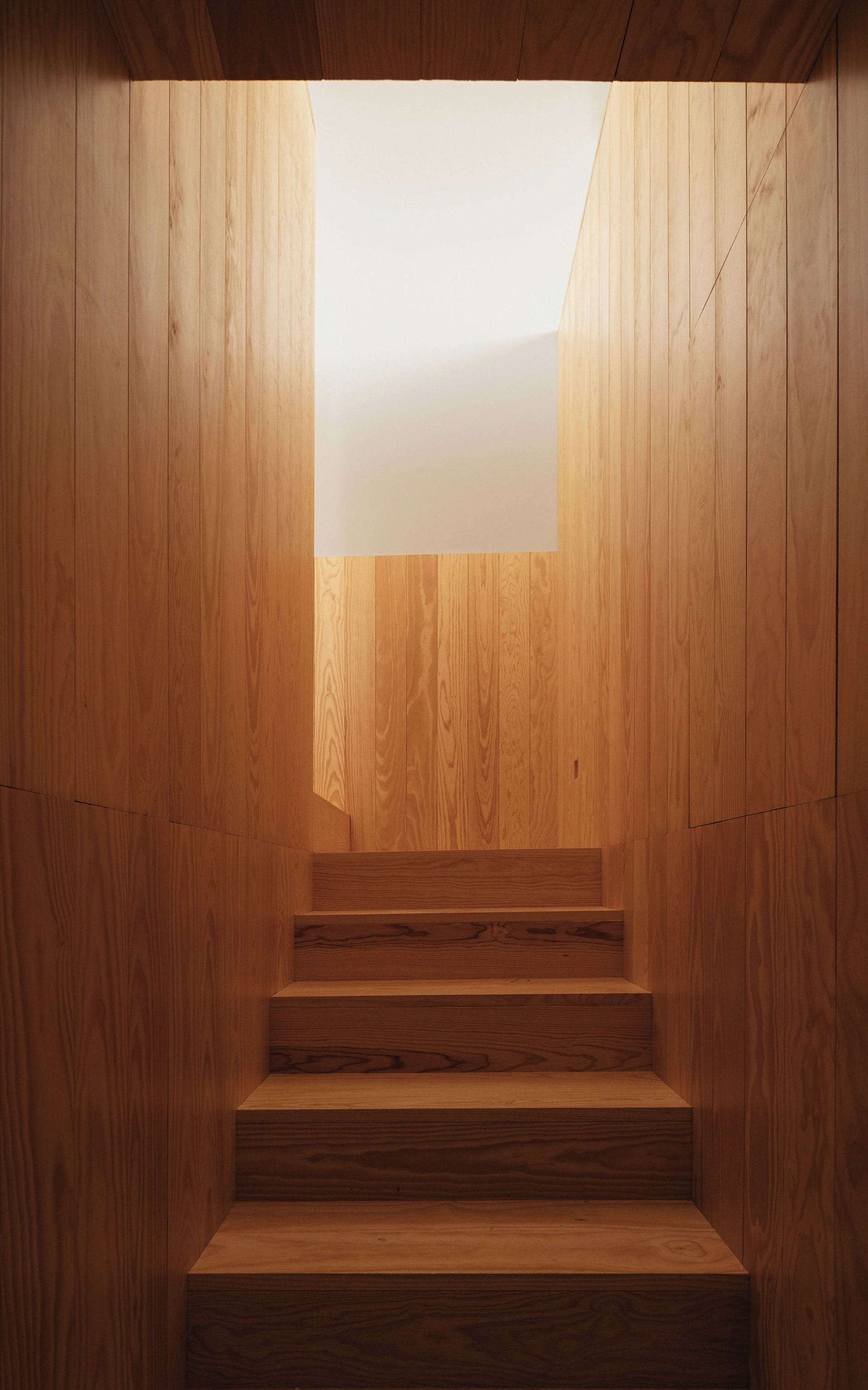 Eine Holztreppe mit Oberlicht, die zu einer Erhöhung führt.