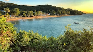 Une plage côtière bordée de maisons de plage et de palmiers.