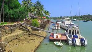 Zona costera con barcos amarrados, un pequeño muelle y abundante vegetación.