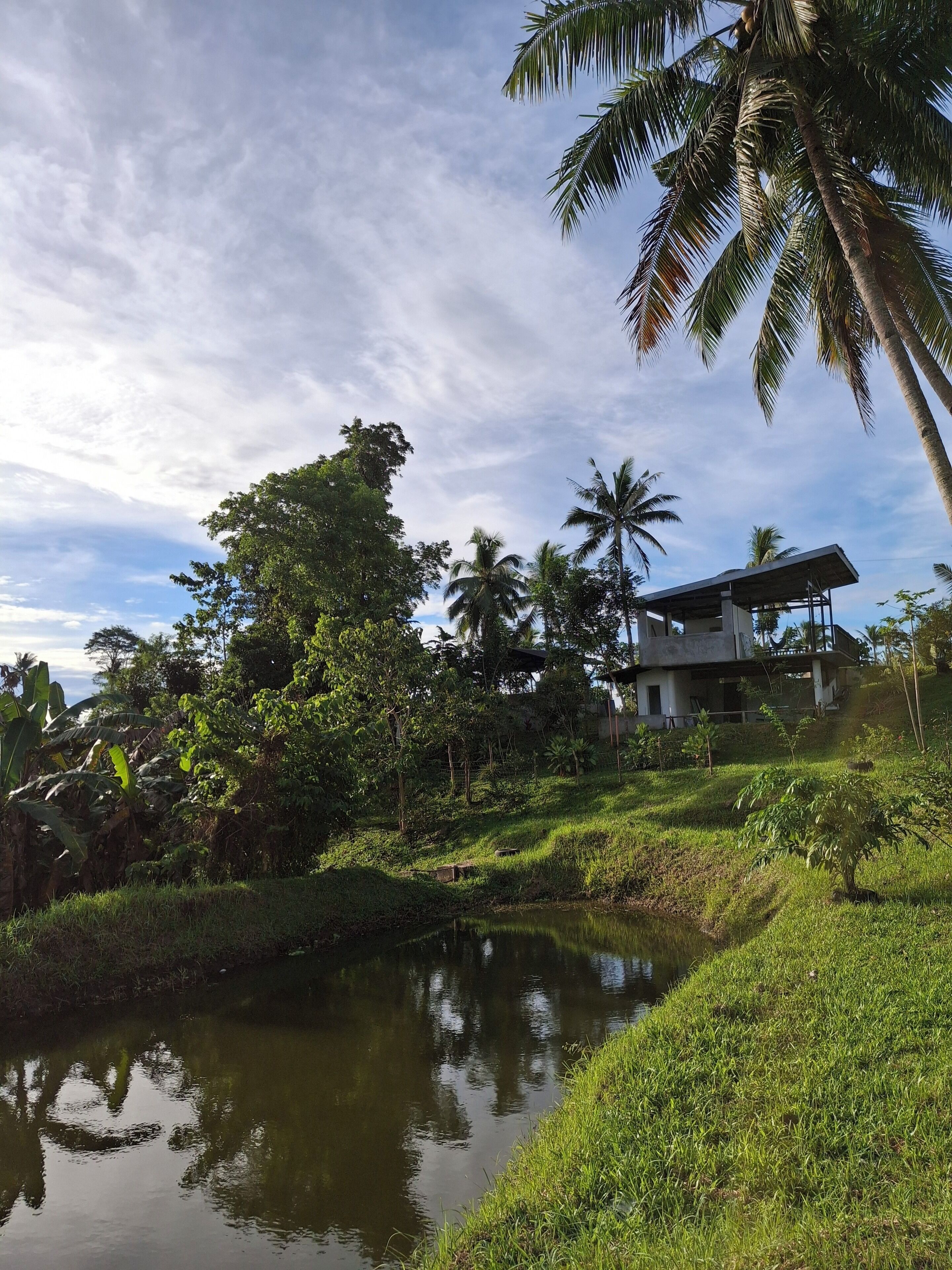 Uma casa com lago, rodeada por vegetação e palmeiras.