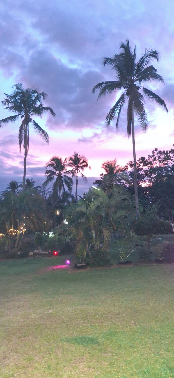 Un espacio cubierto de césped con palmeras y un cielo morado.