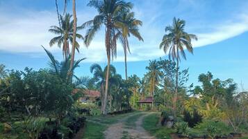 Façade de lâhĂ©bergement