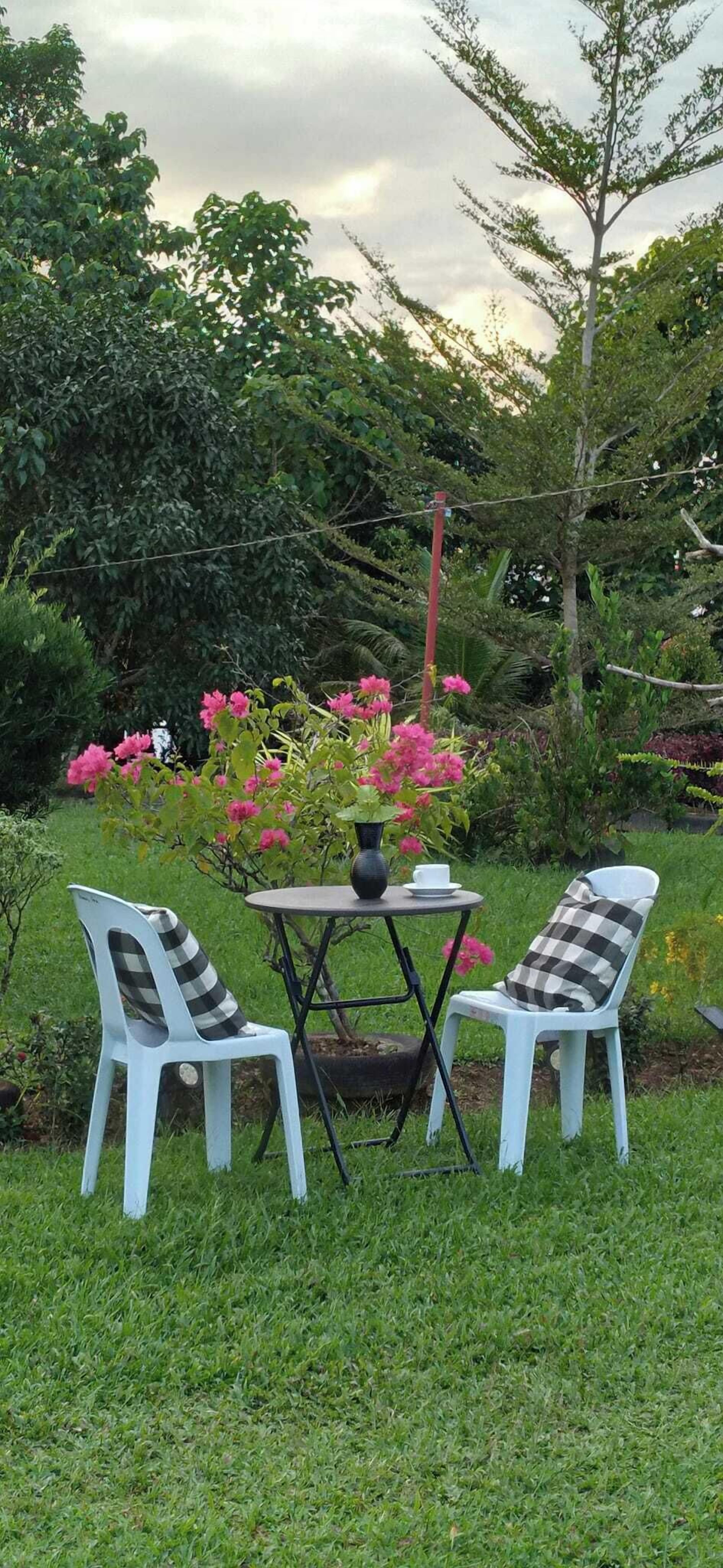 Jardin