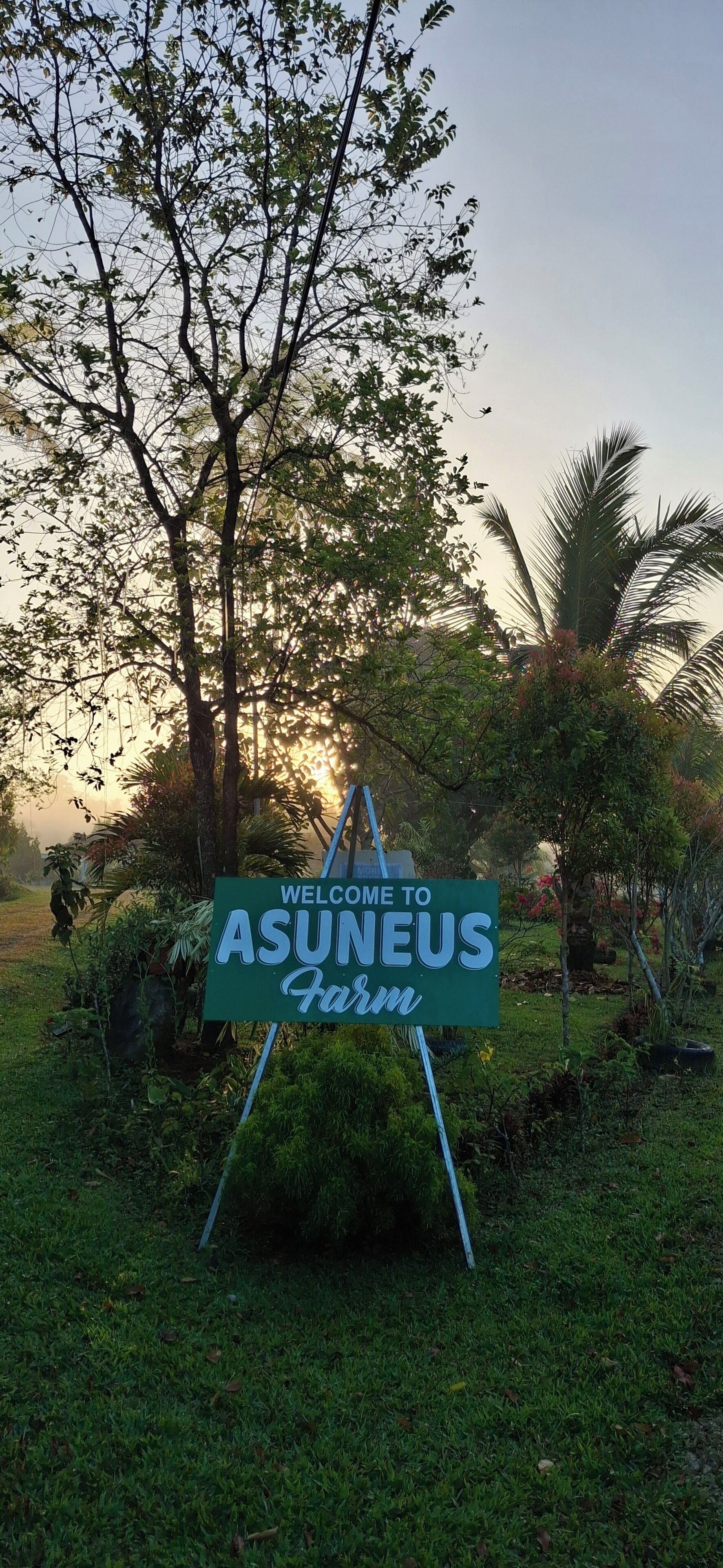 Letrero de bienvenida a Asuneus Farm rodeado de follaje y árboles.