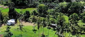 Asuneus Farm