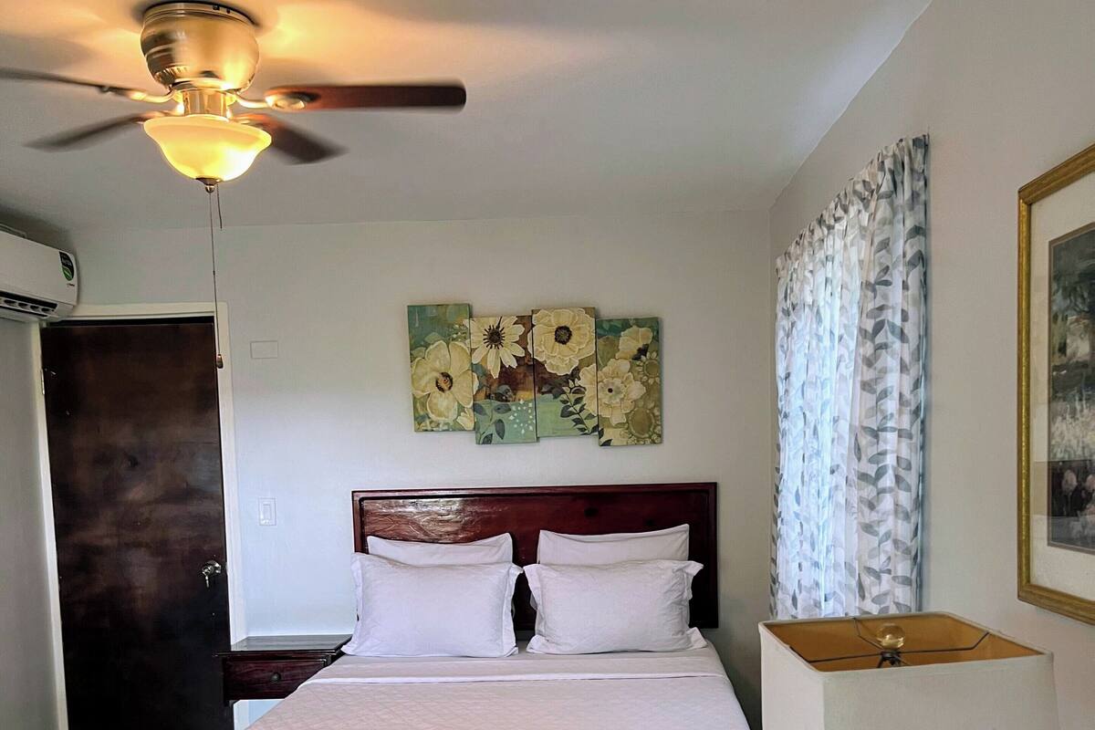 A hotel room with a bed, a ceiling fan, a wall-mounted painting, a lamp, and a door.