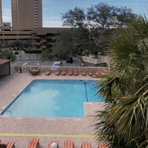 A pool area with lounge chairs and a palm tree.