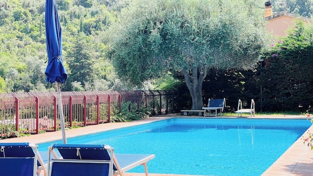 A rectangular swimming pool with clear blue water, surrounded by a tiled deck. There are two blue lounge chairs and a single umbrella. A large tree provides shade to the right of the pool. - Charming Porto Santo Stefano Apartment With Pool Access (Monte Argentario)