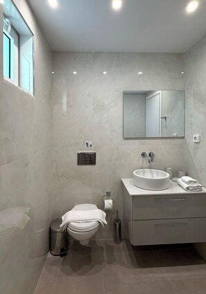 Shower, hair dryer, towels, toilet paper