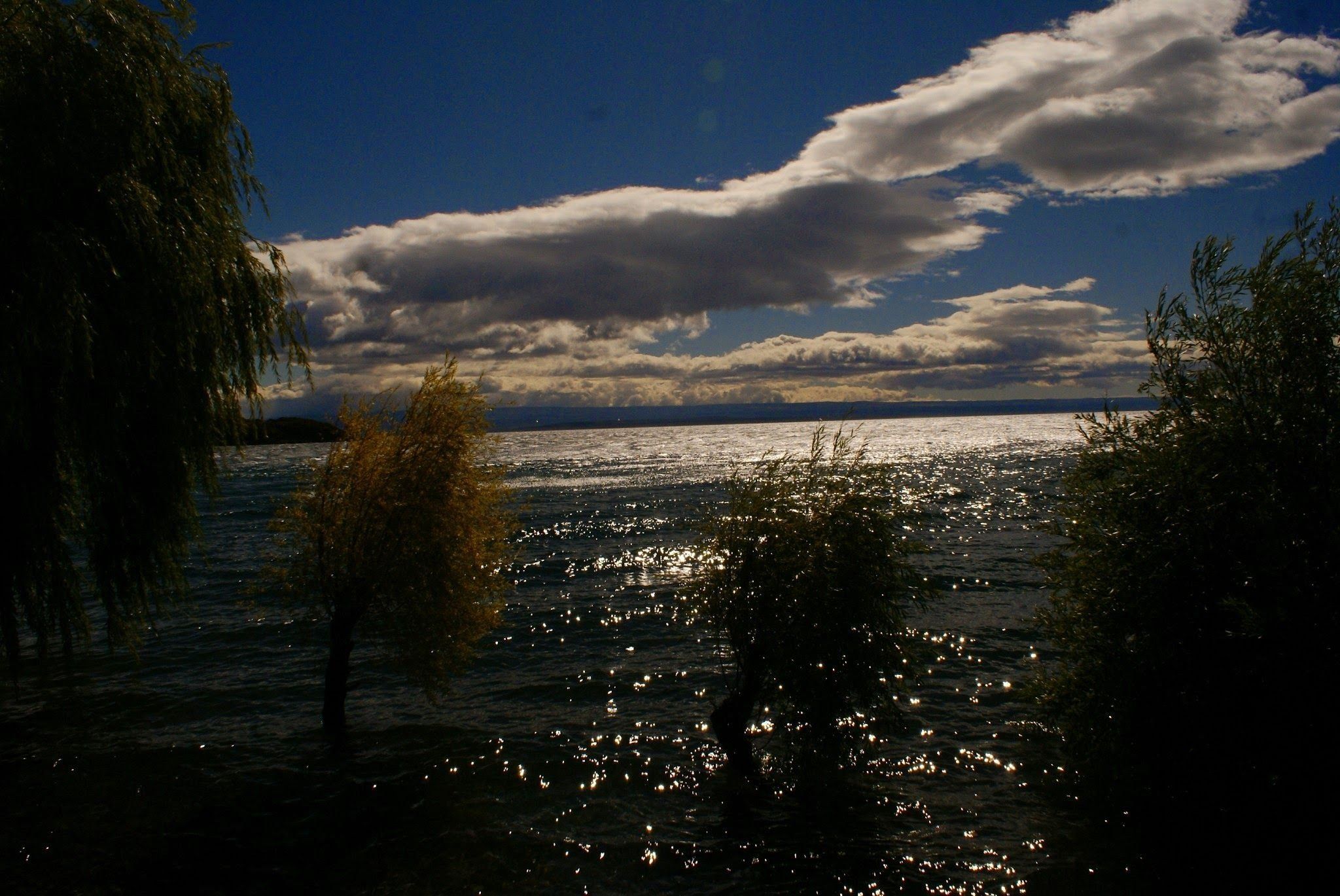A body of water reflecting light with trees in the foreground and a cloudy sky.