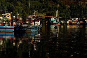 Un puerto con barcos amarrados, un puente y una ladera boscosa al fondo.