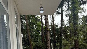 En balkong med vita flätade fåtöljer, en hängstol och ett gult räcke med utsikt över en skog.