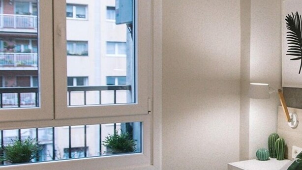 Une chambre d’hôtel avec une grande fenêtre, un radiateur, un lit avec une tête de lit grise, une petite table de chevet avec une plante, et une étagère fixée au mur avec un cactus et un objet décoratif.