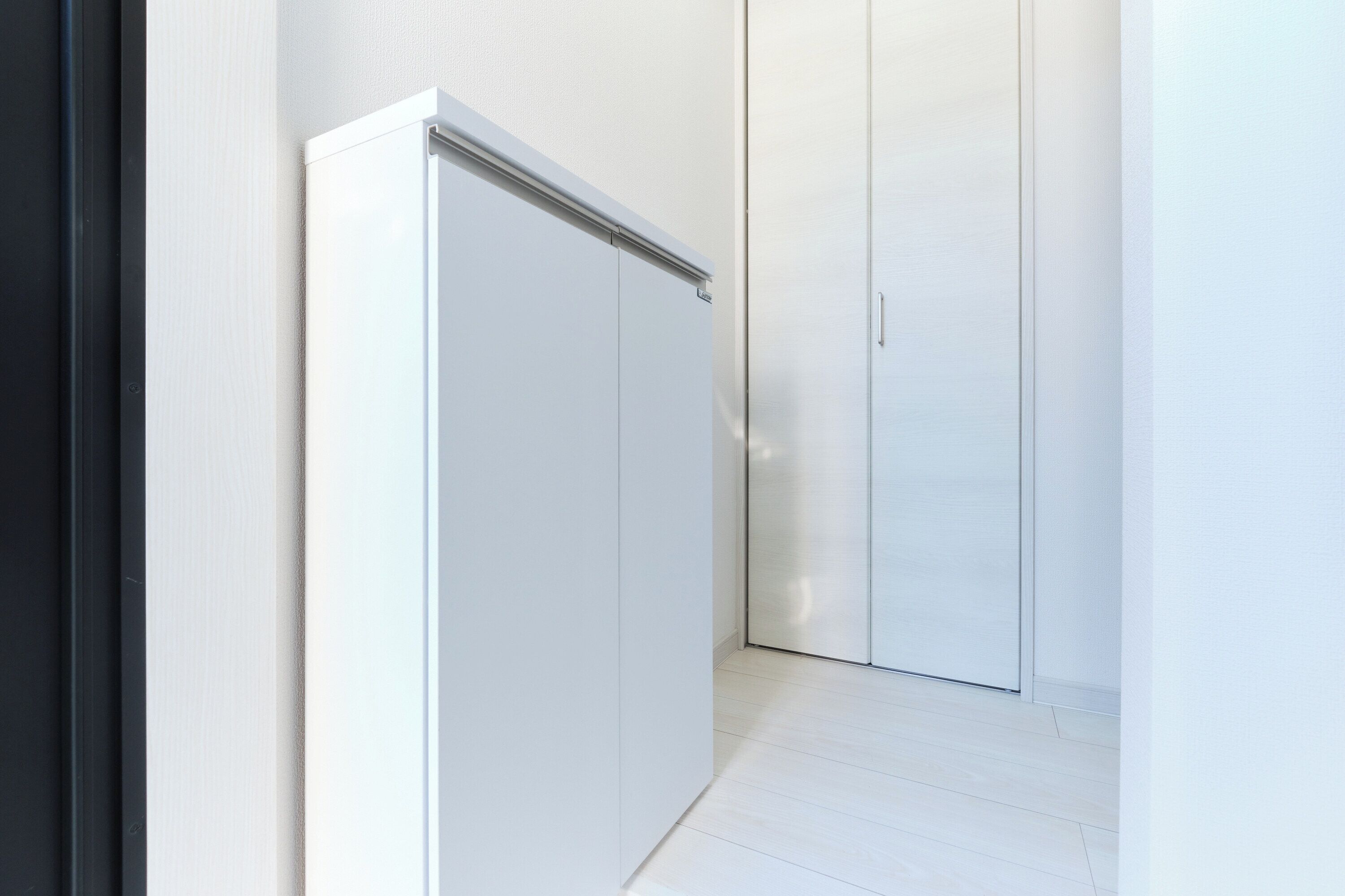 A modern, minimalist room with a white wardrobe and a door.