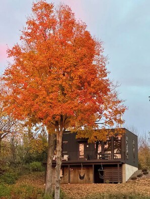 A cabin with a wooden exterior, a deck, and a hanging chair.