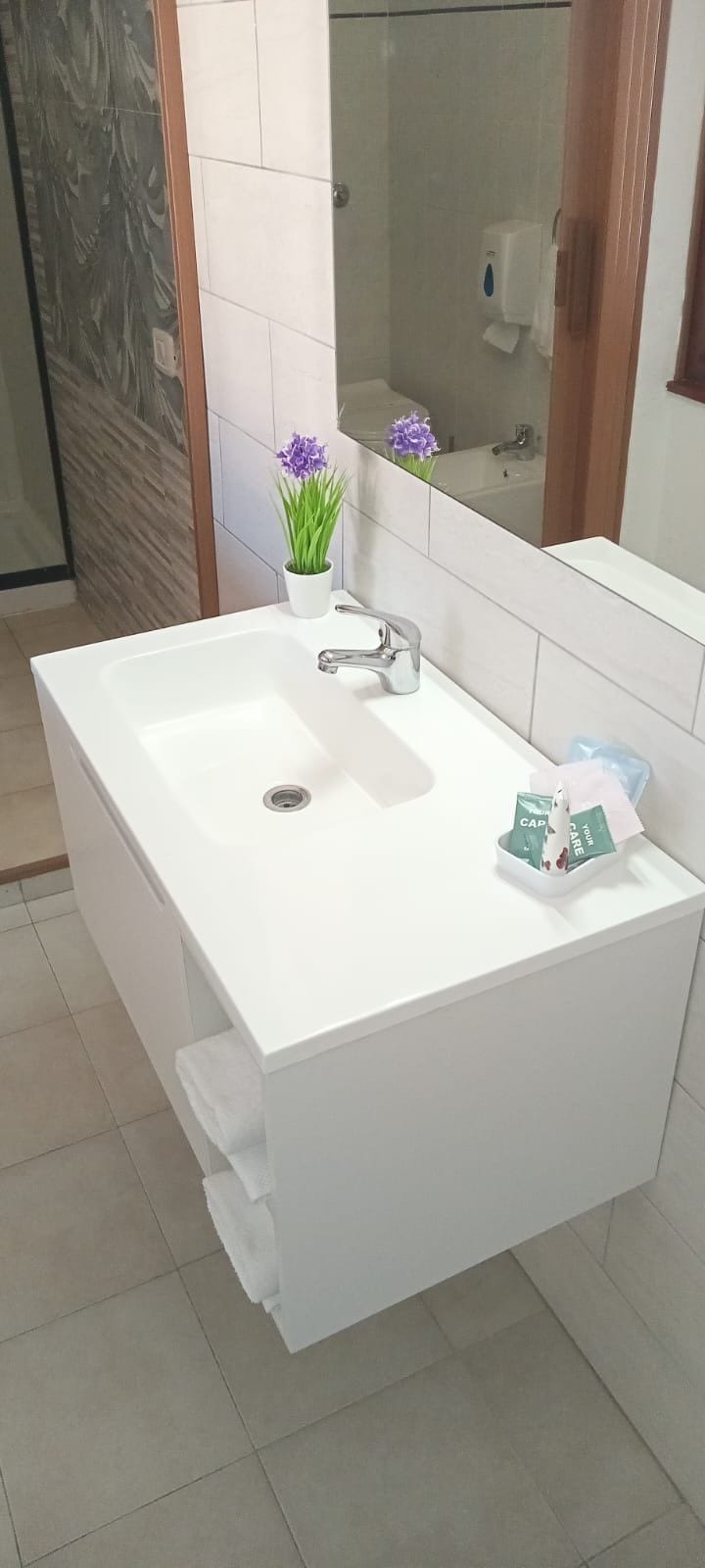 A modern bathroom with a white sink, a mirror, and a small plant.