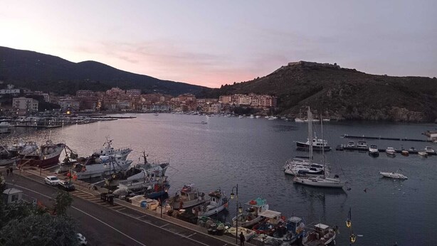 A harbor with boats, a road, and buildings in the background.