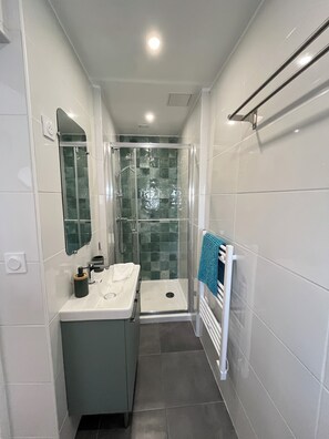 Shower, hair dryer, towels, toilet paper