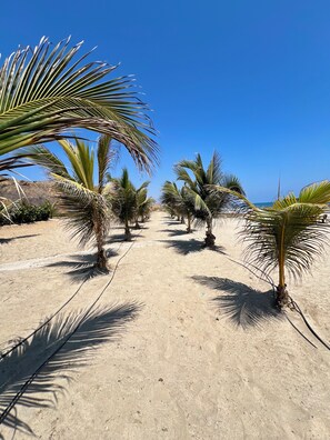 ビーチ、サンラウンジャー