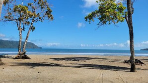 A beach with two palm trees and a clear view of the ocean.