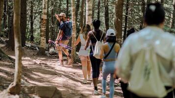 Um grupo de pessoas caminhando por uma trilha na floresta.