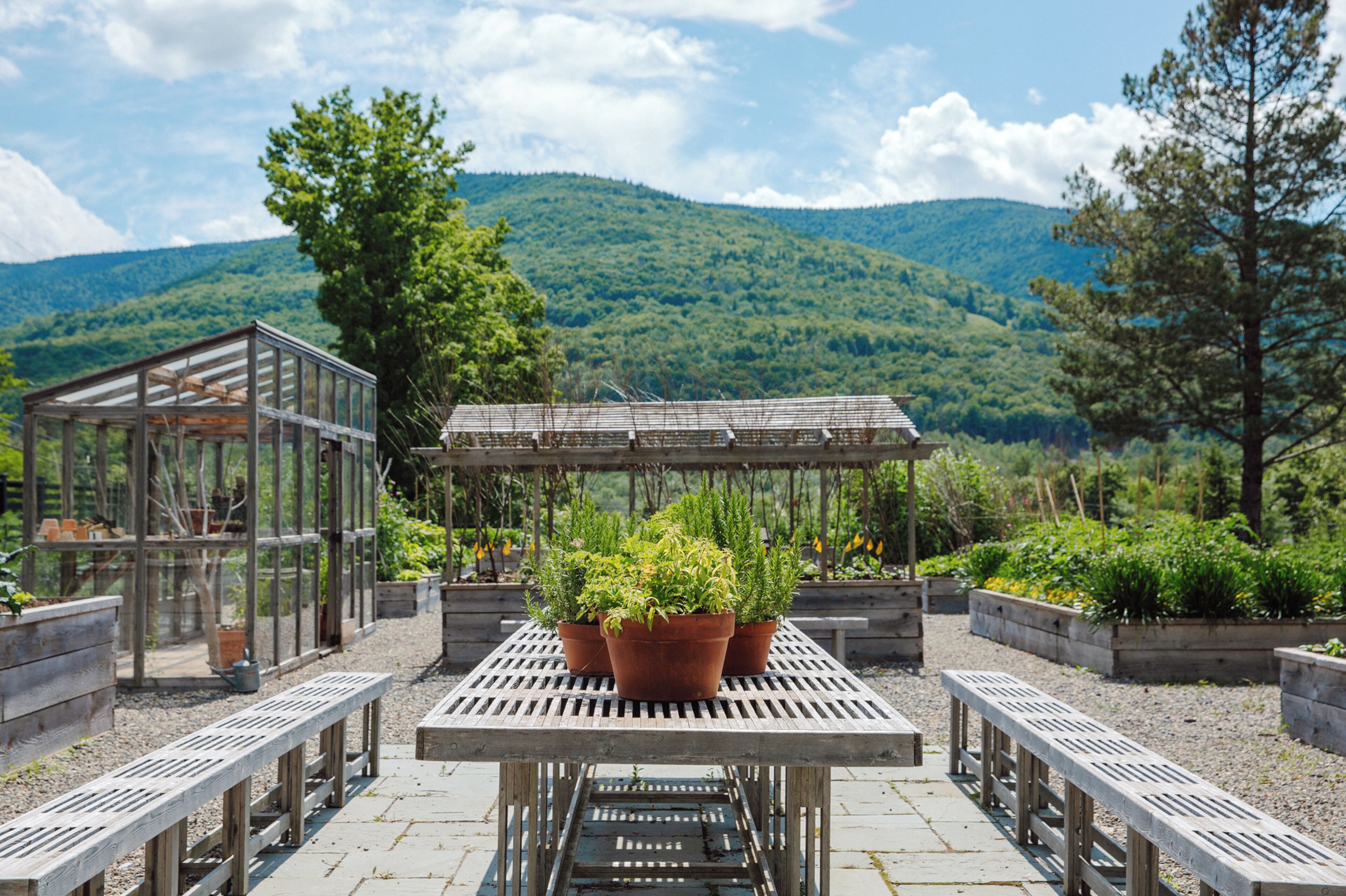 A greenhouse with potted plants on a wooden table and benches, surrounded by a garden with a mountain backdrop.