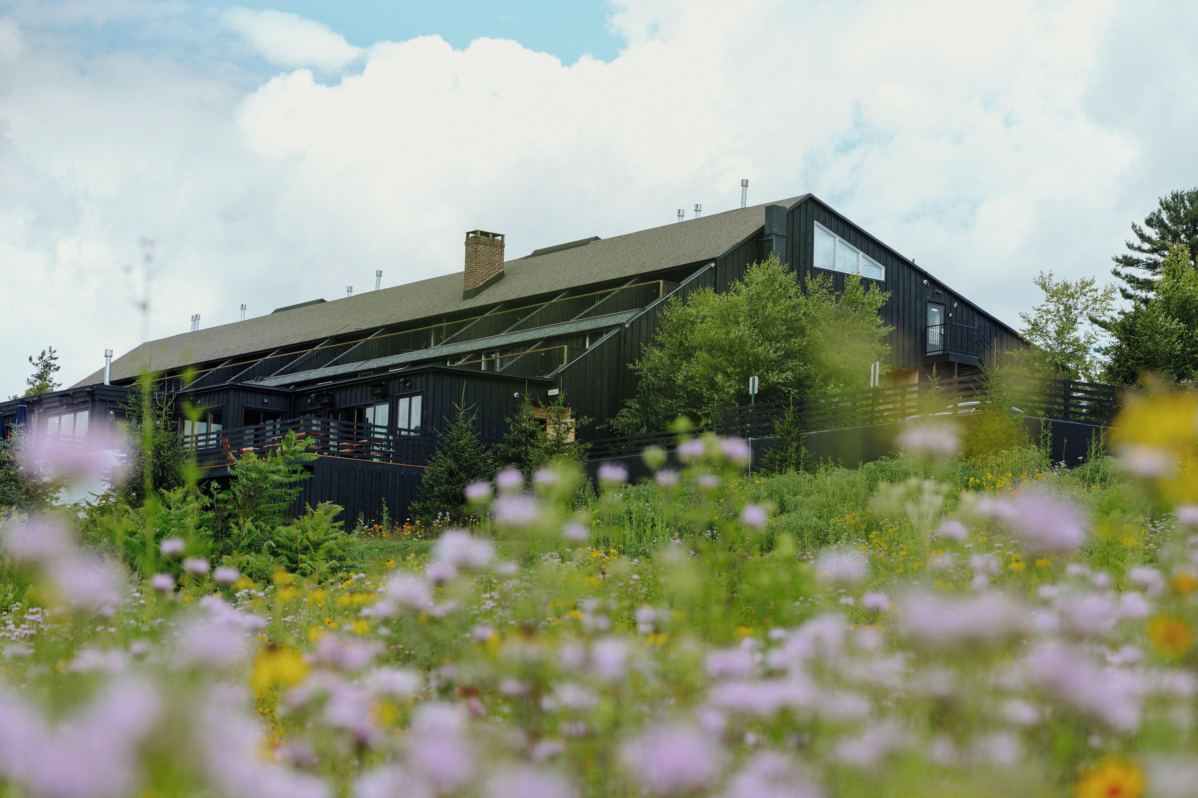 A modern building with a sloped roof and large windows, surrounded by lush greenery and wildflowers.