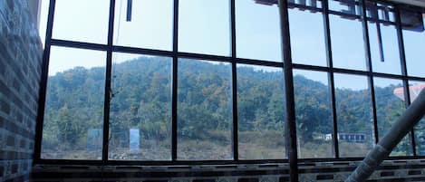 Vue sur les montagnes