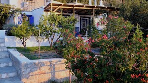 A white building with blue shutters, a wooden pergola, and a stone staircase leading to a door.