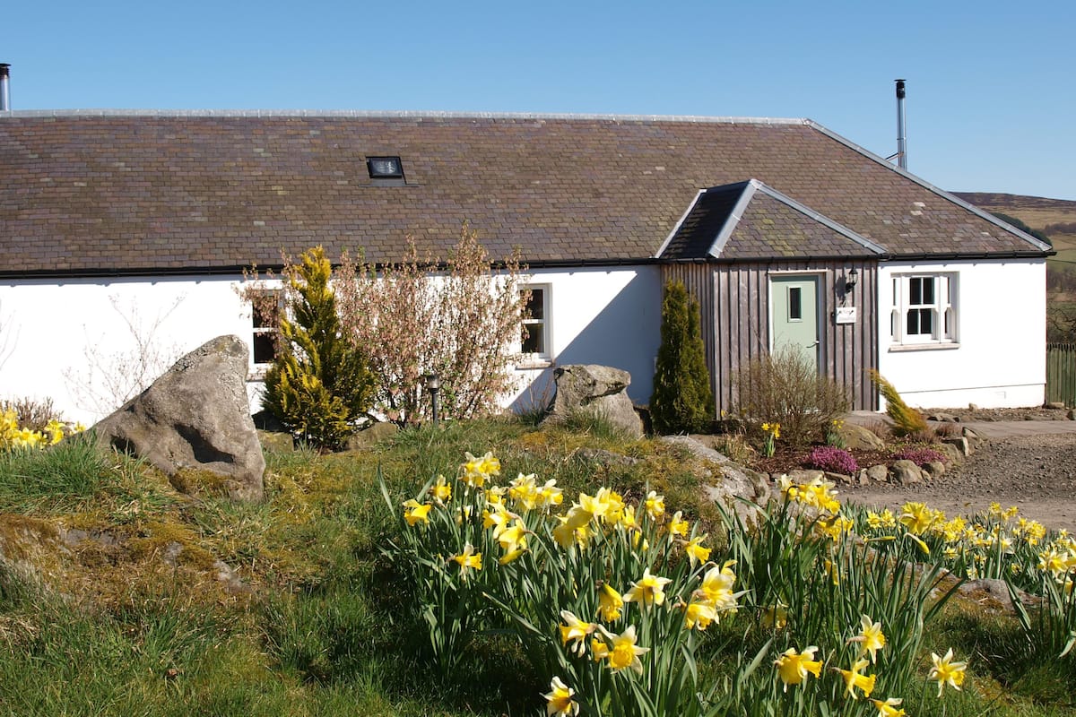 A white building with a sloped roof, a visible chimney, and a garden with yellow flowers.