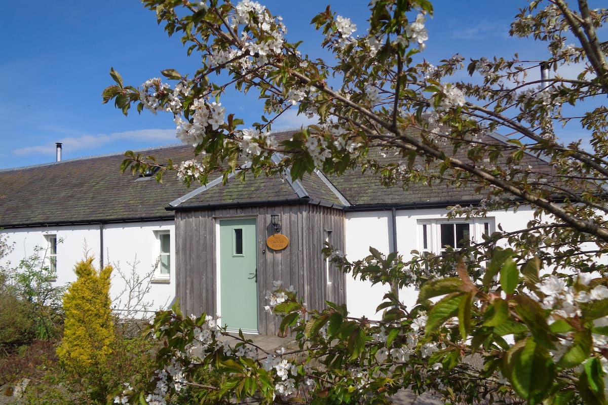 A quaint cottage with a green door, a small porch, and a sign reading "The Grove House."