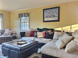 TV, fireplace, books